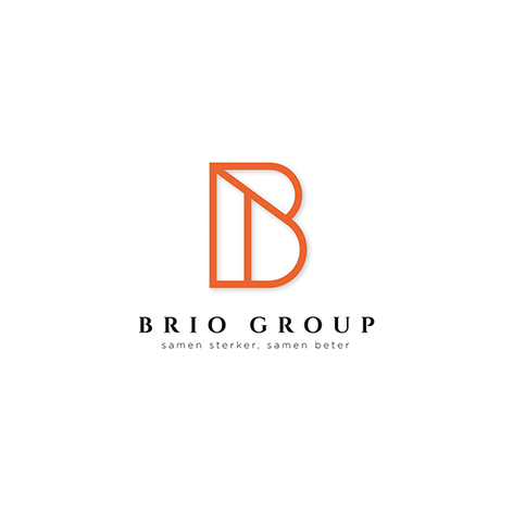 Logo BRIO GROUP